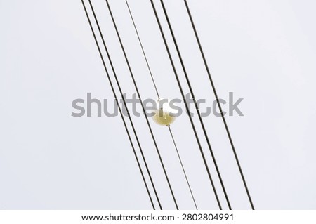 A minimalist abstract composition featuring several parallel high-voltage overhead power lines running diagonally across the frame. Fixed onto one of the middle cables is a large, white spherical aerial visibility marker ball, designed to warn low-flying aircraft or helicopters of the utility grid infrastructure. The background is completely filled by a bright, flat, overcast sky, creating a clean, high-key look that emphasizes the stark geometric lines of the industrial cables and the simple shape of the warning sphere. This photograph effectively illustrates themes of electrical engineering, public safety, aviation warnings, power distribution networks, and minimalist industrial design, making it highly suitable for technical, corporate, or editorial use.
