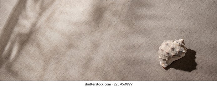 Minimalist aesthetic neutral summer vacation texture banner, close up view of a sea shell with floral shadows on a beige textile background.