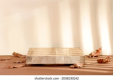 A minimalist autumn landing on a brown table and shadows on the wall 