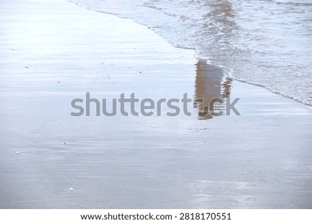 Minimalist beach landscape featuring a human reflection in a thin film of water on wet sand resembling a natural painting
