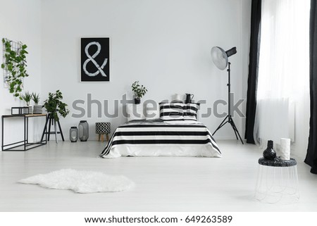 Similar – Image, Stock Photo Small black and white dog lies cuddled up in a blanket on the sofa and looks into the camera