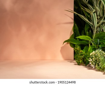 Minimalist botanical background with copy space. Neutral toned showcase for new product demonstration, promotion sale, packaging presentation, cosmetic or merchandise. Light and shadow. Front view.