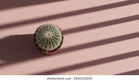 Minimalist Cactus in Terracotta Pot with Soft Pink Background and Shadows - Powered by Shutterstock