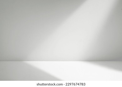 minimalist and clean shadow overlay - Shutterstock ID 2297674783