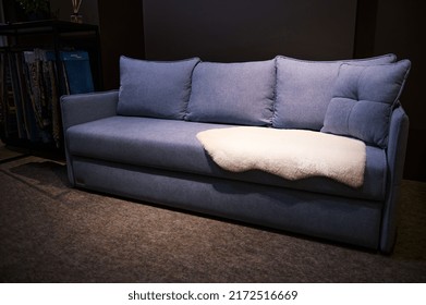 Minimalist Comfortable Blue Violet Sofa And Blanket On Display For Sale In A Furniture Design Store. Home Interior Design Concept