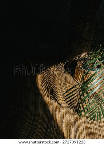 Minimalist composition of palm leaf shadows cast across a woven natural surface in Tulum, Mexico.