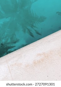 Minimalist composition of a pool edge with soft turquoise water and blurred palm reflections in Tulum, Mexico. 