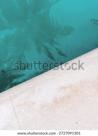 Minimalist composition of a pool edge with soft turquoise water and blurred palm reflections in Tulum, Mexico. 