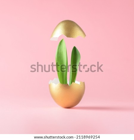 Minimalist Easter composition on a pink background. The ears of the Easter bunny stick out of a cracked gold egg. 
