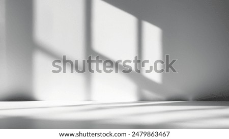 Minimalist Empty Room with Window Shadows on White Wall and Floor
