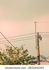 A minimalist and evocative photograph capturing the intersection of urban utility and nature against a serene, pastel-toned sunset sky. The composition features a detailed weathered concrete and metal electricity pole, slightly off-center on the right, with a complex arrangement of black power lines and porcelain insulators horizontally traversing the frame. In the lower-left quadrant, the vibrant, detailed green foliage of a leafy tree contrasts beautifully with the industrial structure and the soft, warm orange-pink gradient of the sky. The image has a distinct, slightly desaturated, vintage aesthetic. The focus is sharp on the pole and wire details, with a shallow depth of field creating a clean background. Ideal for themes of urban landscape, infrastructure, minimalism, and environmental contrast.