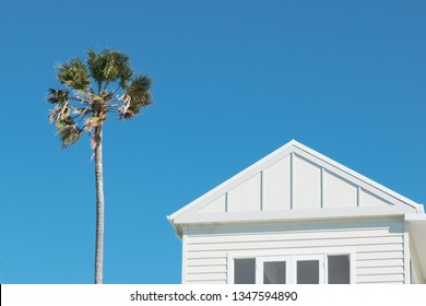 Minimalist Image Of A Hamptons Style White Sydney House Featuring Timber Cladding And A Single Palm Tree Against A Bright Blue Summer Sky.