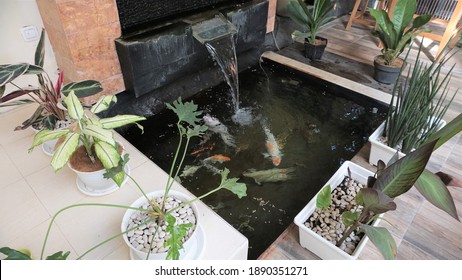minimalist koi fish pond from top view, suitable for indoors of the house. - Powered by Shutterstock
