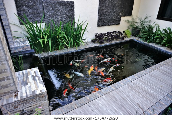 Minimalist Koi Fish Pond Top View Stock Photo (Edit Now) 1754772620