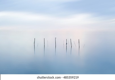 Minimalist Landscape