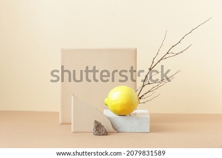 Minimalist monochrome still life composition with lemon and natural nature materials: stone, marble, earthy clay and plant dry branch in beige color, copy space, abstract modern art design concept
