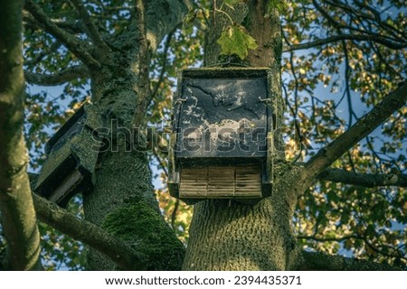 Minimalist photo of a bat house hanging from a tree branch, with a focus on the intricate patterns of the wood and the contrast between the light and dark areas, be a concept of nature conservation
