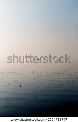 Similar – Image, Stock Photo Little is sea Calm Ocean