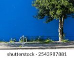 Minimalist photo of a vibrant blue wall and a lush green tree in the foreground city street view