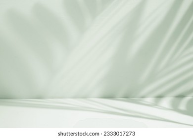 Minimalist room with palm shadow - Shutterstock ID 2333017273