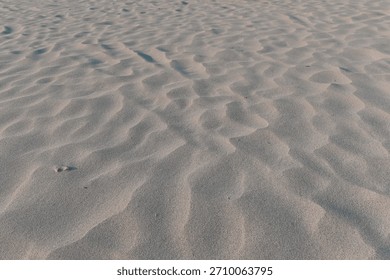 Minimalist Sandscape - Subtle Ripple Patterns in Beach Sand