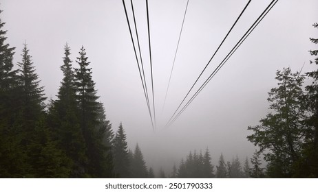 Minimalist shot from a cable car, foggy surrounding, winter forest - Powered by Shutterstock