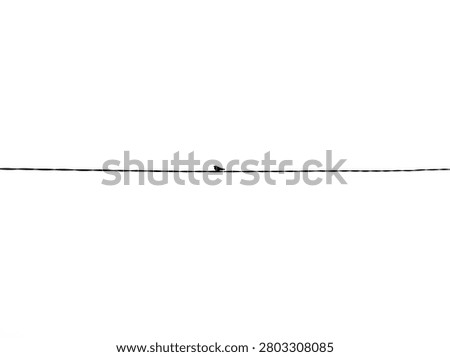 Minimalist silhouette of a single tiny bird perched on a horizontal wire over white background.