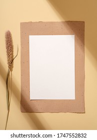 Minimalist Simple Design Greeting Card With Dried Tender Spica. Neutral Earthy Coloured Mockup With Hard Light And Shadow. To Do List, Invitation, Poster Or Letter Concept.