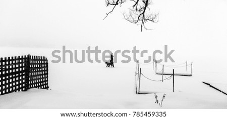 Similar – Image, Stock Photo At the lake Lake Ice