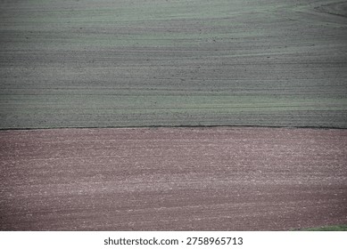 Minimalist view of two adjoining fields, green and brown, forming horizontal bands across the frame.