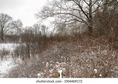 Minimalist Winter Landscape Panorama Style Photo. Unique Perspective