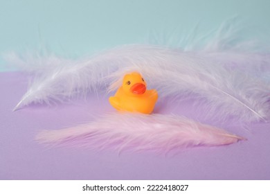 Minimalistic Aesthetic Still Life. Rubber Duck With Feathers On Pastel Two Tone Background. Fresh Idea. Creative Layout