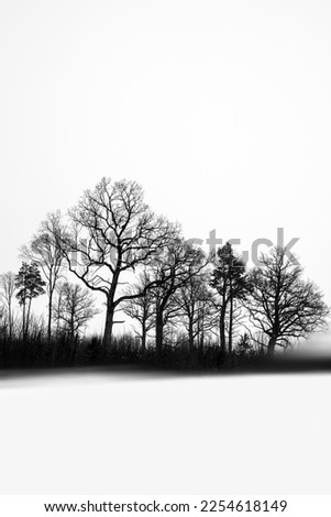 Similar – Image, Stock Photo Neverglade Environment