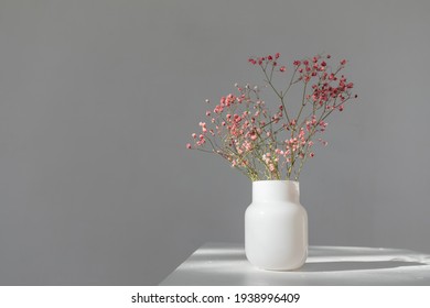 Minimalistic Composition Of Dried Pink Flowers In Cylindrical Glass Vase Under Sunbeams On White Background