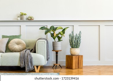 Minimalistic Composition Of Living Room With Design Sofa, Plant, Books, Decoration, Pillows, Plaid, Carpet, Wood Paneling And Elegant Persoanl Accessories In Stylish Home Decor. Copy Space.