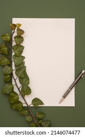 Minimalistic Concept Of Natural Green Background With Poison Ivy Decoration. White Paper And A Pen