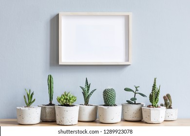 Minimalistic Home Interior With Mock Up Photo Frame On The Brown Wooden Table With Composition Of Cacti And Succulents  In Stylish Cement Pots. Grey Walls. Stylish Concept Of Home Garden.