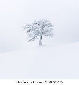 Minimalist Winter Background Images Stock Photos Vectors Shutterstock
