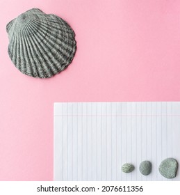 Minimalistic notebook sheet and seashell on pink background