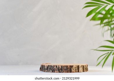 Minimalistic price of a felled tree with foliage on a gray background. Podium for eco-products.