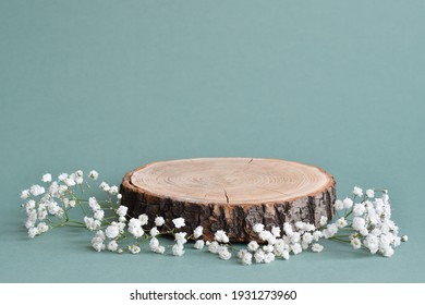 A minimalistic scene of a felled tree lies with flowers on a green background. Catwalk for the presentation of products and cosmetics. Showcase with a stage for natural products. - Shutterstock ID 1931273960