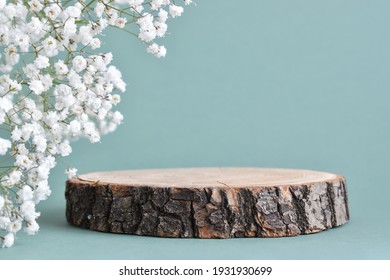A minimalistic scene of a felled tree lies with flowers on a natural background. Catwalk for the presentation of products and cosmetics. Showcase with a stage for natural products. Empty space - Shutterstock ID 1931930699