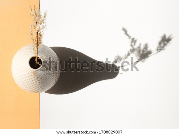 \
\
minimalistic still life top view. ceramic vase\
with dried flowers on a white and orange background. Stylish\
minimalistic still life. Atmospheric photo with a flower. top view\
of a vase with a\
flower