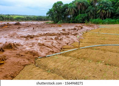 Mining Tailings After Dam Collapse In Brumadinho