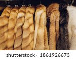 Mink coats of different colors in a shop on a hanger.