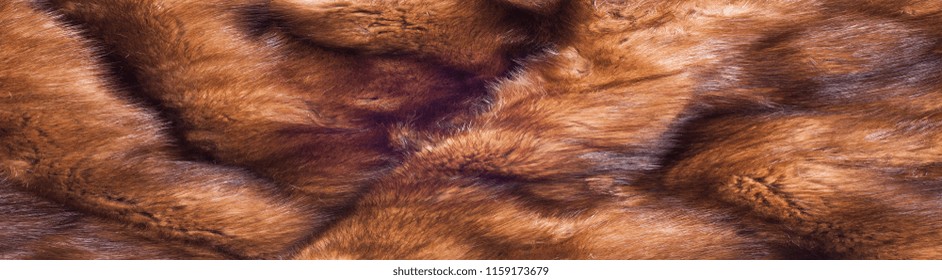 Mink Fur Animal . A Small, Semiaquatic, Stoatlike Carnivore Native To North America And Eurasia. The American Mink Is Widely Farmed For Its Fur,