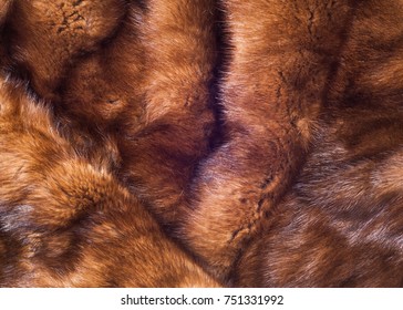 Mink fur animal . a small, semiaquatic, stoatlike carnivore native to North America and Eurasia. The American mink is widely farmed for its fur,