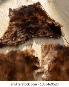 Mink Skin. Russian Mink Skin On Board. Full Russian Mink Skin, Dressed.