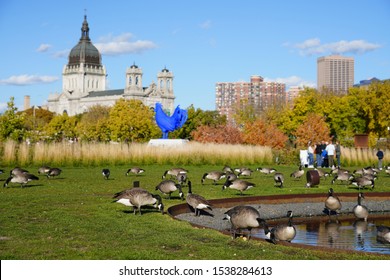 Minneapolis, Minnesota / USA - October 19th, 2019: Family Of Canadian Geese Hangout At Cherry Spoon Bridge Garden Park 