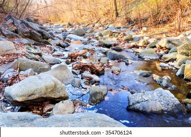 Minnehaha Stream - Bethesda, Maryland